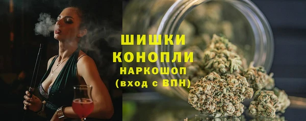 PSILOCYBIN Богородск