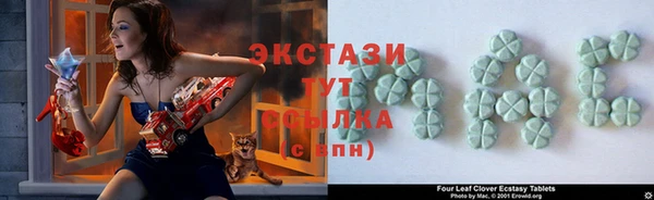 гашик Богородицк