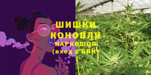 PSILOCYBIN Богородск