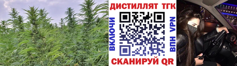Купить  Грязи  Дистиллят ТГК THC oil 