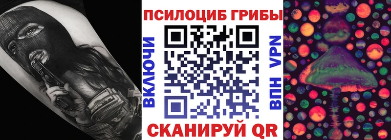 Псилоцибиновые грибы ЛСД  Купить закладки  Грязи 